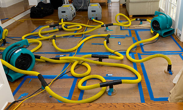 Professional Structural Drying And Dehumidification technician working in Poy Sippi, WI